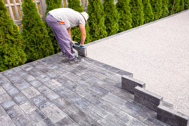 Best Local Driveway Pavers  in Beaufort, NC